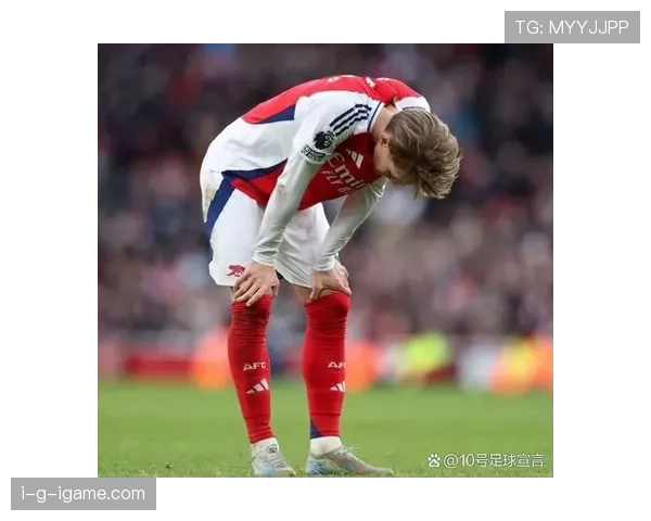 希基新赛季表现亮眼，球迷期待更多高光时刻